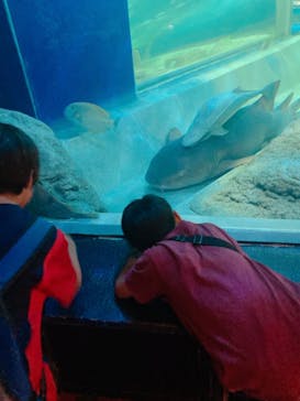 しながわ水族館に投稿された画像（2023/10/2）