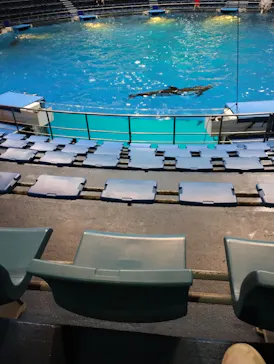 マクセル アクアパーク品川に投稿された画像（2023/10/2）