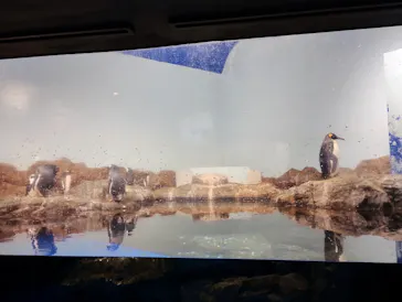 マクセル アクアパーク品川に投稿された画像（2023/10/2）