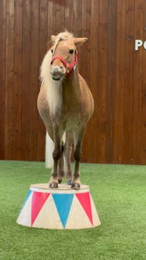 ノーザンホースパークに投稿された画像（2023/10/2）