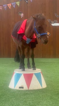 ノーザンホースパークに投稿された画像（2023/10/2）