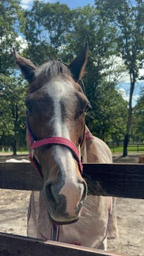 ノーザンホースパークに投稿された画像（2023/10/2）