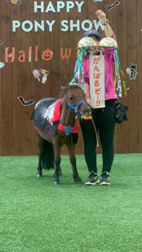 ノーザンホースパークに投稿された画像（2023/10/2）