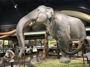 滋賀県立琵琶湖博物館に投稿された画像（2023/10/2）