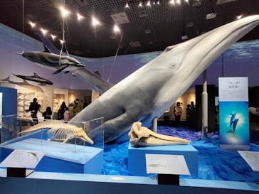 特別展「海　―生命のみなもと―」（国立科学博物館）に投稿された画像（2023/10/2）