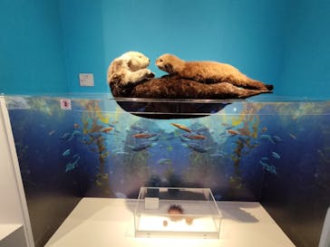 特別展「海　―生命のみなもと―」（国立科学博物館）に投稿された画像（2023/10/2）