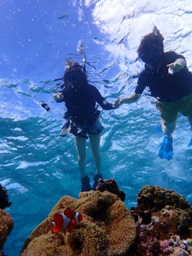 宮古島 ADVENTURE PiPi（ミヤコジマ アドベンチャー ピピ）に投稿された画像（2023/10/2）