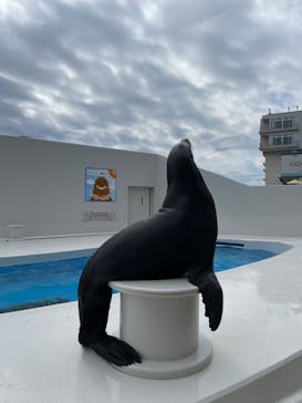 鴨川シーワールドに投稿された画像（2023/10/3）