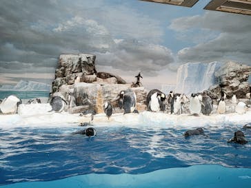 名古屋港水族館に投稿された画像（2023/10/3）