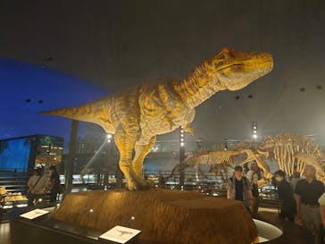 福井県立恐竜博物館に投稿された画像（2023/10/3）