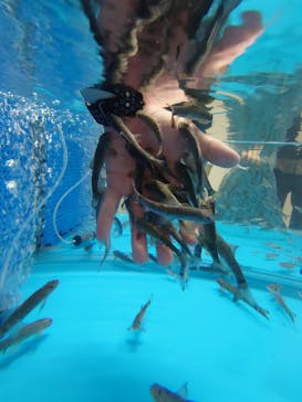 越前松島水族館に投稿された画像（2023/10/3）