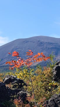 鬼押出し園に投稿された画像（2023/10/3）