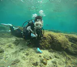 武藤潜水に投稿された画像（2023/10/3）