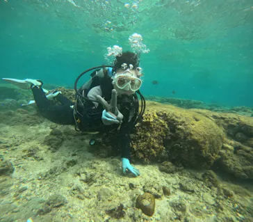 武藤潜水に投稿された画像（2023/10/3）