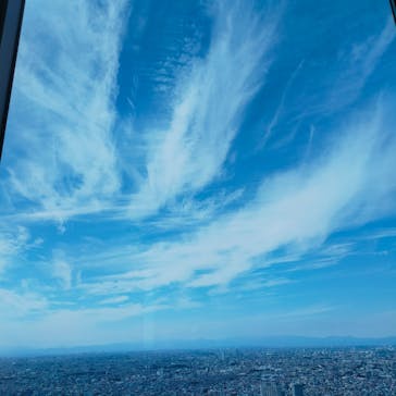 サンシャイン60展望台に投稿された画像（2023/10/3）