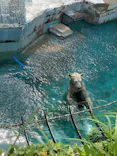 天王寺動物園に投稿された画像（2023/10/3）