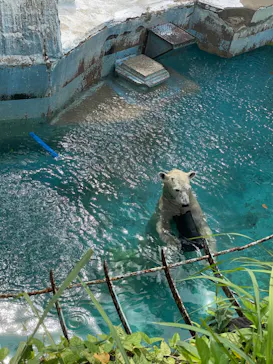 天王寺動物園に投稿された画像（2023/10/3）