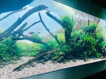 AOAO SAPPOROに投稿された画像（2023/10/3）