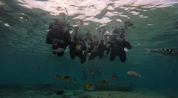 武藤潜水に投稿された画像（2023/10/3）