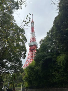 東京タワーに投稿された画像（2023/10/3）