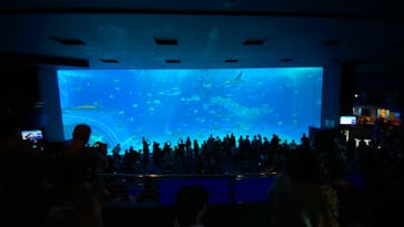 沖縄美ら海水族館に投稿された画像（2023/10/3）