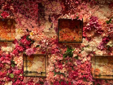 NARA KINGYO MUSEUMに投稿された画像（2023/10/3）