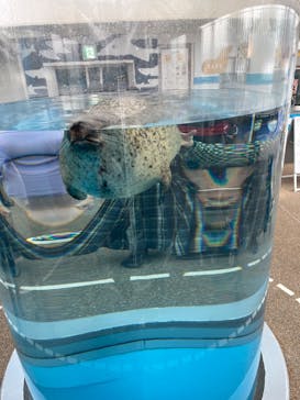 京都水族館に投稿された画像（2023/10/3）
