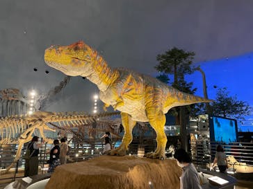 福井県立恐竜博物館に投稿された画像（2023/10/3）