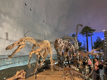 福井県立恐竜博物館に投稿された画像（2023/10/3）