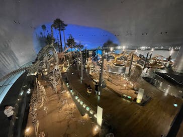 福井県立恐竜博物館に投稿された画像（2023/10/3）