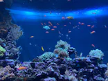 サンシャイン水族館に投稿された画像（2023/10/3）