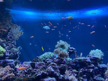 サンシャイン水族館に投稿された画像（2023/10/3）