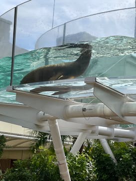 サンシャイン水族館に投稿された画像（2023/10/3）