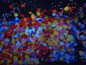 チームラボに投稿された画像（2023/10/3）