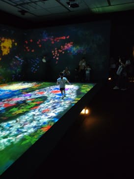 チームラボに投稿された画像（2023/10/3）