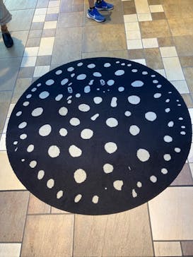 サンシャイン水族館に投稿された画像（2023/10/3）