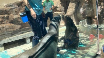 サンシャイン水族館に投稿された画像（2023/10/3）