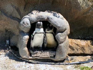 サンシャイン水族館に投稿された画像（2023/10/3）