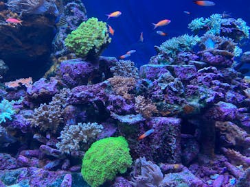 サンシャイン水族館に投稿された画像（2023/10/3）