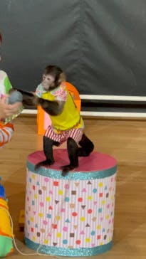 那須ワールドモンキーパークに投稿された画像（2023/10/3）