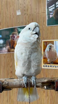 那須ワールドモンキーパークに投稿された画像（2023/10/3）