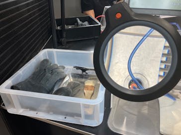 福井県立恐竜博物館に投稿された画像（2023/10/3）