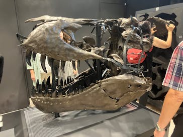 福井県立恐竜博物館に投稿された画像（2023/10/3）