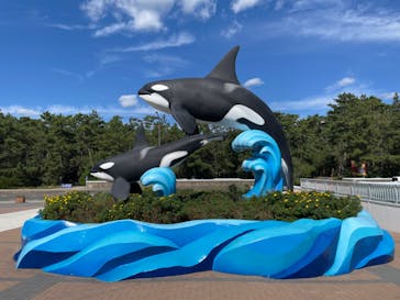 鴨川シーワールドに投稿された画像（2023/10/3）