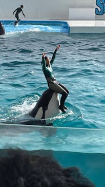 鴨川シーワールドに投稿された画像（2023/10/3）