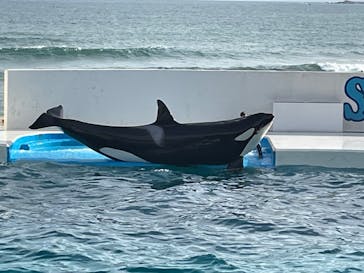 鴨川シーワールドに投稿された画像（2023/10/3）