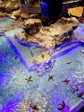 すみだ水族館に投稿された画像（2023/10/3）