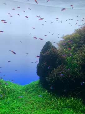 すみだ水族館に投稿された画像（2023/10/3）