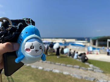 沖縄美ら海水族館に投稿された画像（2023/10/3）