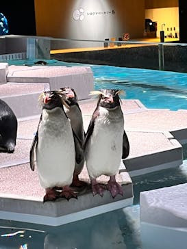 AOAO SAPPOROに投稿された画像（2023/10/3）